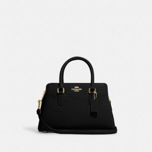 Mini Darcie Carryall Bag